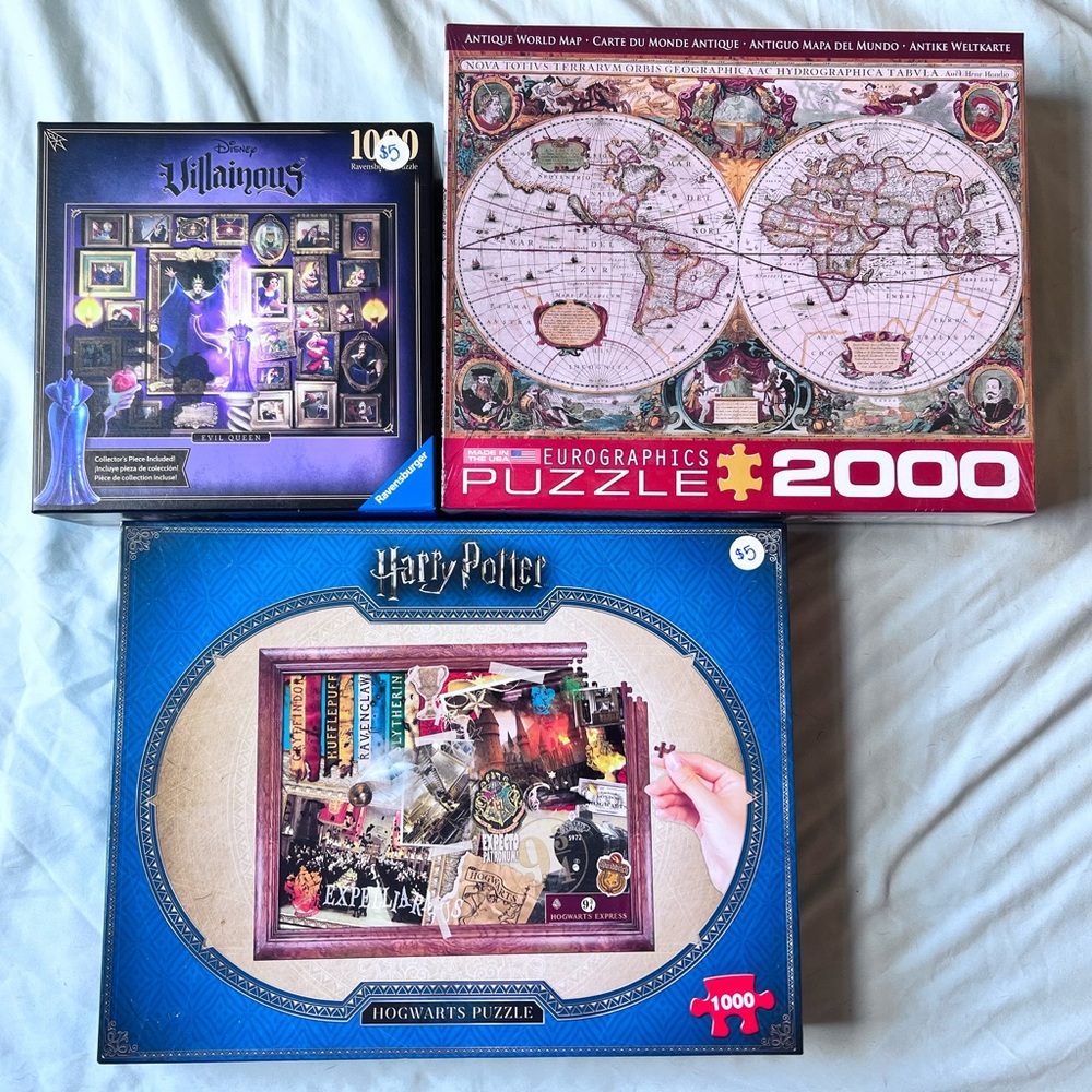 Set of 3 Puzzles- Harry Potter, Disney Villainous and World Map